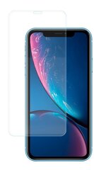 Kaitsekiled Evelatus    Apple    iPhone Xr TPU film hind ja info | Ekraani kaitseklaasid ja kaitsekiled | hansapost.ee