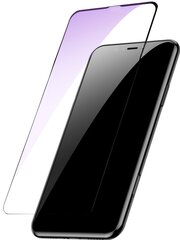 Kaitsekiled Evelatus    Apple    Mirror Film protector for iPhone X hind ja info | Ekraani kaitseklaasid ja kaitsekiled | hansapost.ee