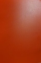 Evelatus Leather Film for Sreen Cutter Red цена и информация | Защитные пленки для телефонов | hansapost.ee