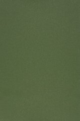 Kaitsekiled Evelatus       Universal Color Shinning Film for Screen Cutter    Army Green hind ja info | Ekraani kaitseklaasid ja kaitsekiled | hansapost.ee