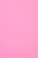 Kaitsekiled Evelatus       Universal Color Shinning Film for Screen Cutter    Light Pink hind ja info | Ekraani kaitseklaasid ja kaitsekiled | hansapost.ee