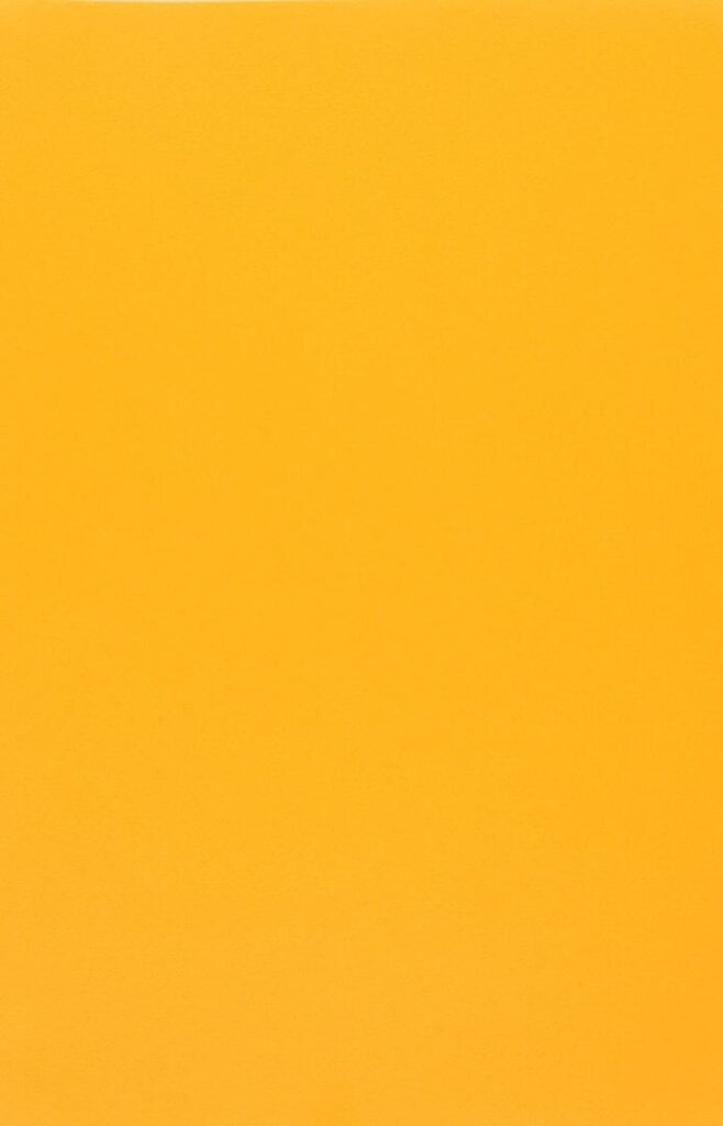 Kaitsekiled Evelatus       3M Universal Matte Color Film for Screen Cutter    Yellow цена и информация | Ekraani kaitseklaasid ja kaitsekiled | hansapost.ee
