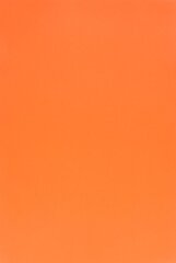 Kaitsekiled Evelatus       Universal 3M Matte Color Film for Screen Cutter    Orange hind ja info | Ekraani kaitseklaasid ja kaitsekiled | hansapost.ee