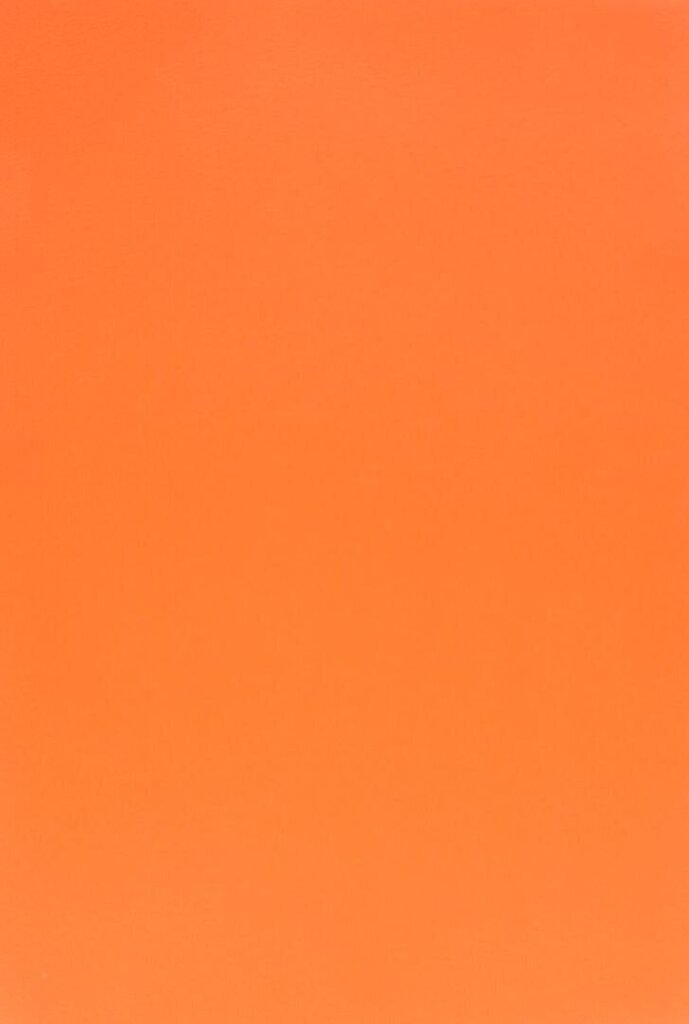 Kaitsekiled Evelatus       Universal 3M Matte Color Film for Screen Cutter    Orange цена и информация | Ekraani kaitseklaasid ja kaitsekiled | hansapost.ee