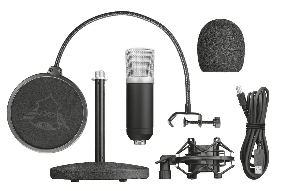 Stuudiomikrofon GXT 252 EMITA/21753 TRUST hind ja info | Mikrofonid | hansapost.ee