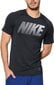 Meeste T-särk Nike hind ja info | T-särgid meestele | hansapost.ee