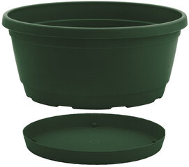 Nicoli чаша с тарелкой Rumba 25, зеленая цена и информация | Ящики для рассады | hansapost.ee