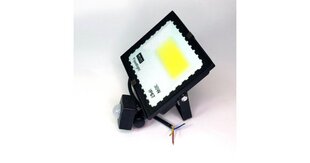 30W LED-prožektor liikumisanduriga 6500k mINI IP67 hind ja info | Aiavalgustid ja õuevalgustid | hansapost.ee