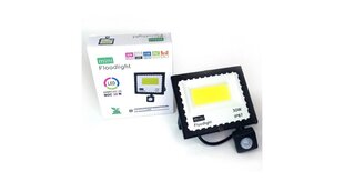 30W LED-prožektor liikumisanduriga 6500k mINI IP67 hind ja info | Aiavalgustid ja õuevalgustid | hansapost.ee