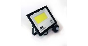 Светодиодный прожектор 50 Вт с датчиком движения 6500k mINI IP67 цена и информация | Уличное освещение | hansapost.ee