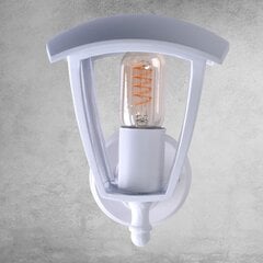 Светильник для сада Eko-Light Fox White цена и информация | Уличные светильники | hansapost.ee