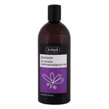 Šampoon lavendliekstraktiga rasustele juustele Ziaja 500 ml цена и информация | Ziaja Уход за волосами | hansapost.ee
