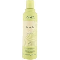 Увлажняющий шампунь для вьющихся волос Aveda Be Curly 250 мл цена и информация | Шампуни | hansapost.ee