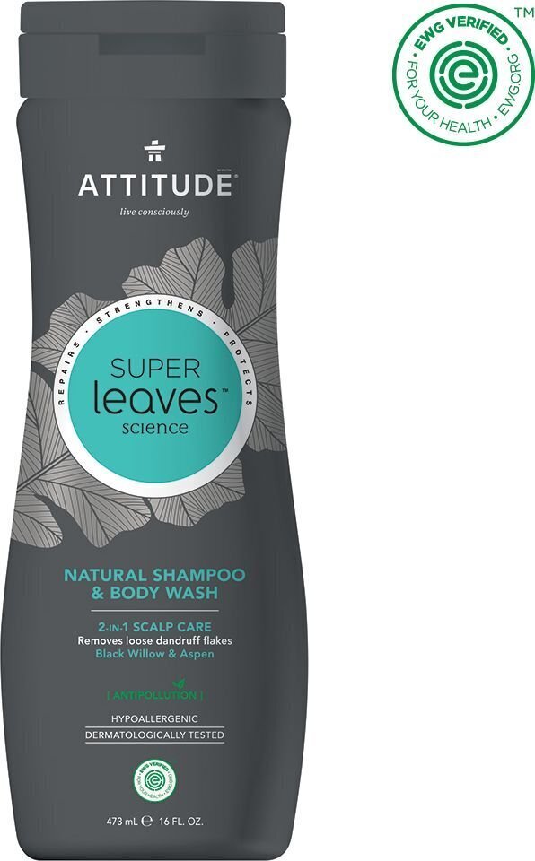 Attitude Super Leaves 2 in 1 Scalp Care Hair & Body šampoon/dušigeel meestele 473 ml цена и информация | Šampoonid | hansapost.ee