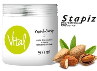 Juuksemask kahjustatud juustele Stapiz Vital Repair Dual Hairtip 60s 500 ml цена и информация | Маски, масла, сыворотки | hansapost.ee