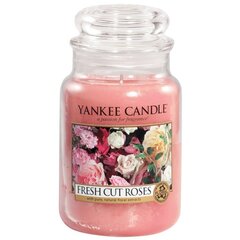 Свеча Yankee Candle Large Jar, свежесрезанные розы, 623 г цена и информация | Свечи, подсвечники | hansapost.ee
