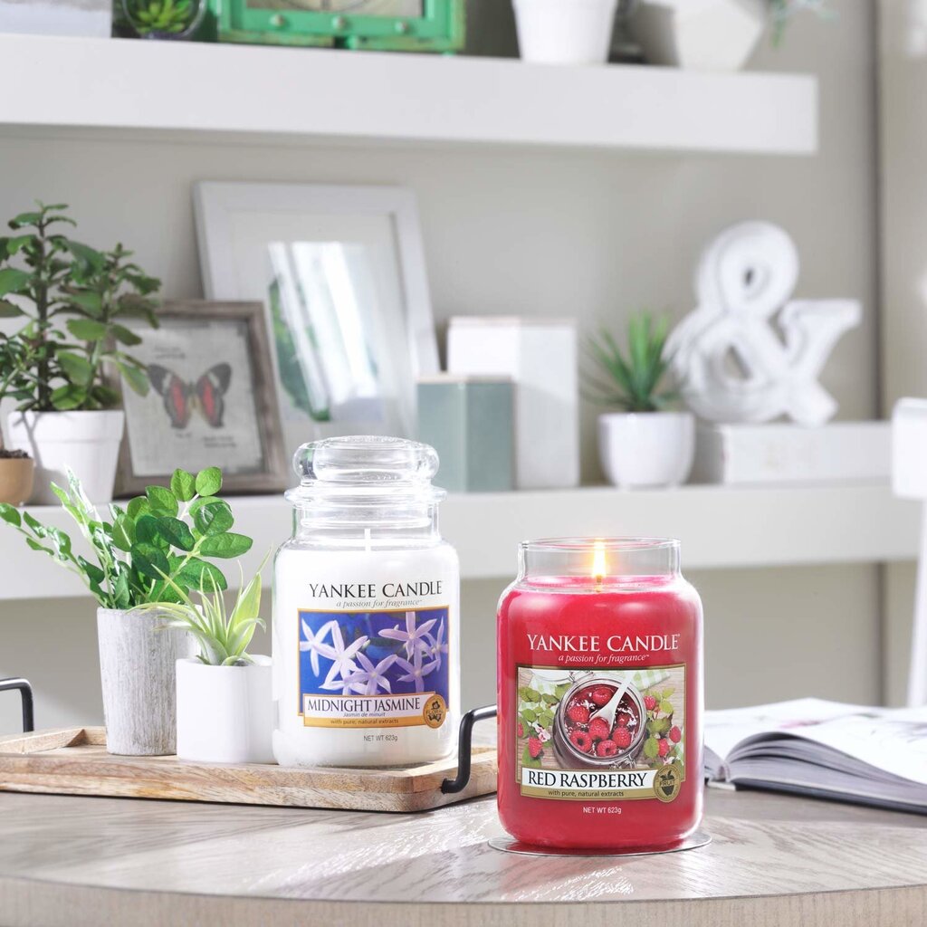 Lõhnaküünal Yankee Candle Large Jar Midnight Jasmine 623 g цена и информация | Küünlad, küünlajalad | hansapost.ee