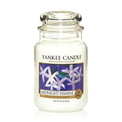 Lõhnaküünal Yankee Candle Large Jar Midnight Jasmine 623 g hind ja info | Küünlad, küünlajalad | hansapost.ee