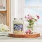 Lõhnaküünal Yankee Candle Large Jar Midnight Jasmine 623 g цена и информация | Küünlad, küünlajalad | hansapost.ee