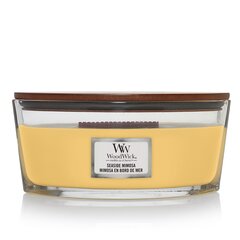 WoodWick lõhnaküünal Seaside Mimosa, 453,6 g hind ja info | Küünlad, küünlajalad | hansapost.ee