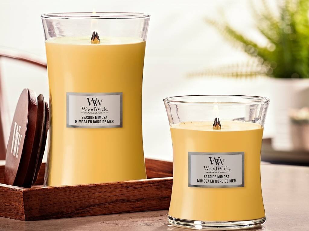 WoodWick lõhnaküünal Seaside Mimosa, 453,6 g hind ja info | Küünlad, küünlajalad | hansapost.ee