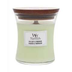 WoodWick lõhnaküünal Fig Leaf & Tuberose, 85 g hind ja info | Küünlad, küünlajalad | hansapost.ee