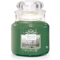 Yankee Candle Evergreen Mist lõhnaküünal 411 g hind ja info | Küünlad, küünlajalad | hansapost.ee