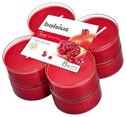 Lõhnaküünalde komplekt Bolsius True Scents Pomegranate, 8 tk hind ja info | Küünlad, küünlajalad | hansapost.ee