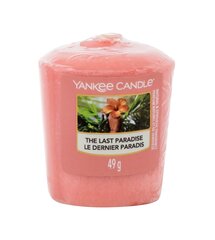 Lõhnaküünal Yankee Candle the Last Paradise 49 g цена и информация | Подсвечники, свечи | hansapost.ee