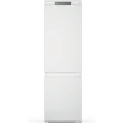 Холодильник NERA TEKSTO цена и информация | Холодильники | hansapost.ee