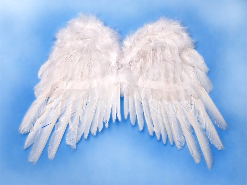 Tiivad Angel's Wings, valge, 53x37 cm, 1 karp/100 (1 pakk/1 tk) hind ja info | Kostüümid ja maskid | hansapost.ee