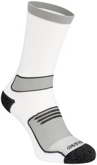 Meeste spordisokid Avento, 2 tk, white/grey price and information | Socks for men | hansapost.ee