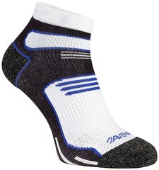 Avento спортивные носки для мужчин, 2 шт., white/cobalt blue цена и информация | Мужские носки | hansapost.ee