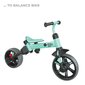YVOLUTION tasakaaluratas YVelo Flippa, roheline/must, 101222 hind ja info | Kolmerattalised jalgrattad lastele | hansapost.ee