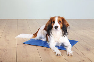 Охлаждающий коврик для собак Trixie XXL, 110x70 см цена и информация | Лежаки, домики | hansapost.ee
