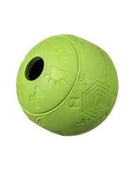 Barry King tugev roheline maiusepall L 11cm hind ja info | Koerte mänguasjad | hansapost.ee