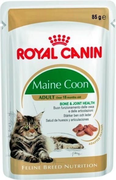 Konserv täiskasvanud Maine Coon tõugu kassidele Royal Canin, 85 g цена и информация | Kassikonservid | hansapost.ee