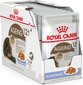 Royal Canin konserv vanematele kassidele Ageing +12, 12 x 85 g цена и информация | Kassikonservid | hansapost.ee