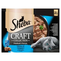 Sheba корм для взрослых кошек с рыбой Craft Collection, 12 х 85 г цена и информация | Кошачьи консервы | hansapost.ee