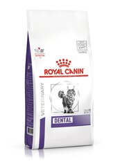 Royal Canin для здоровых зубов Cat Dental, 1,5 кг цена и информация | Сухой корм для кошек | hansapost.ee