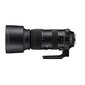 Objektiiv Sigma 60-600mm F4.5-6.3 DG OS HSM Canon [SPORT] цена и информация | Fotoaparaatide objektiivid | hansapost.ee