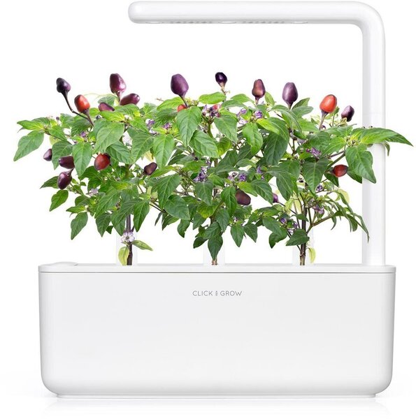 Click & Grow Smart Garden refill Фиолетовый чили перец 3 штуки цена