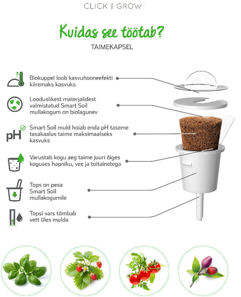 Click & Grow Smart Garden refill Kress-salat 3tk цена и информация | Nutipotid ja taimelambid | hansapost.ee