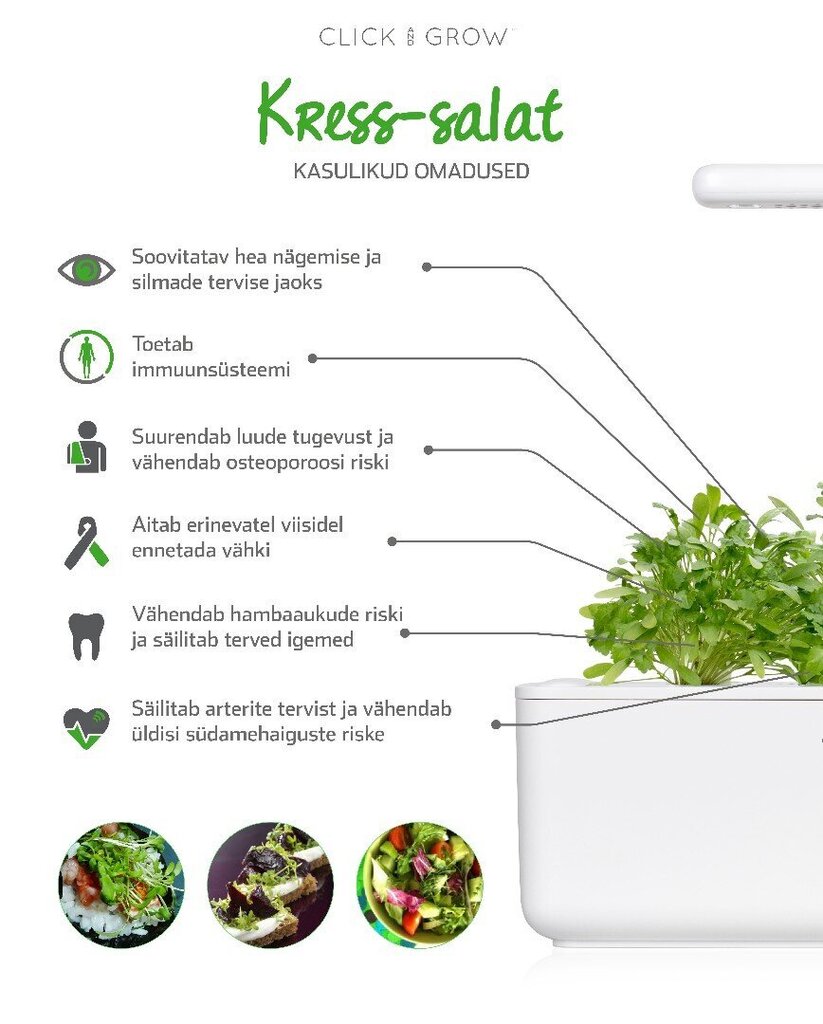 Click & Grow Smart Garden refill Kress-salat 3tk hind ja info | Nutipotid ja taimelambid | hansapost.ee