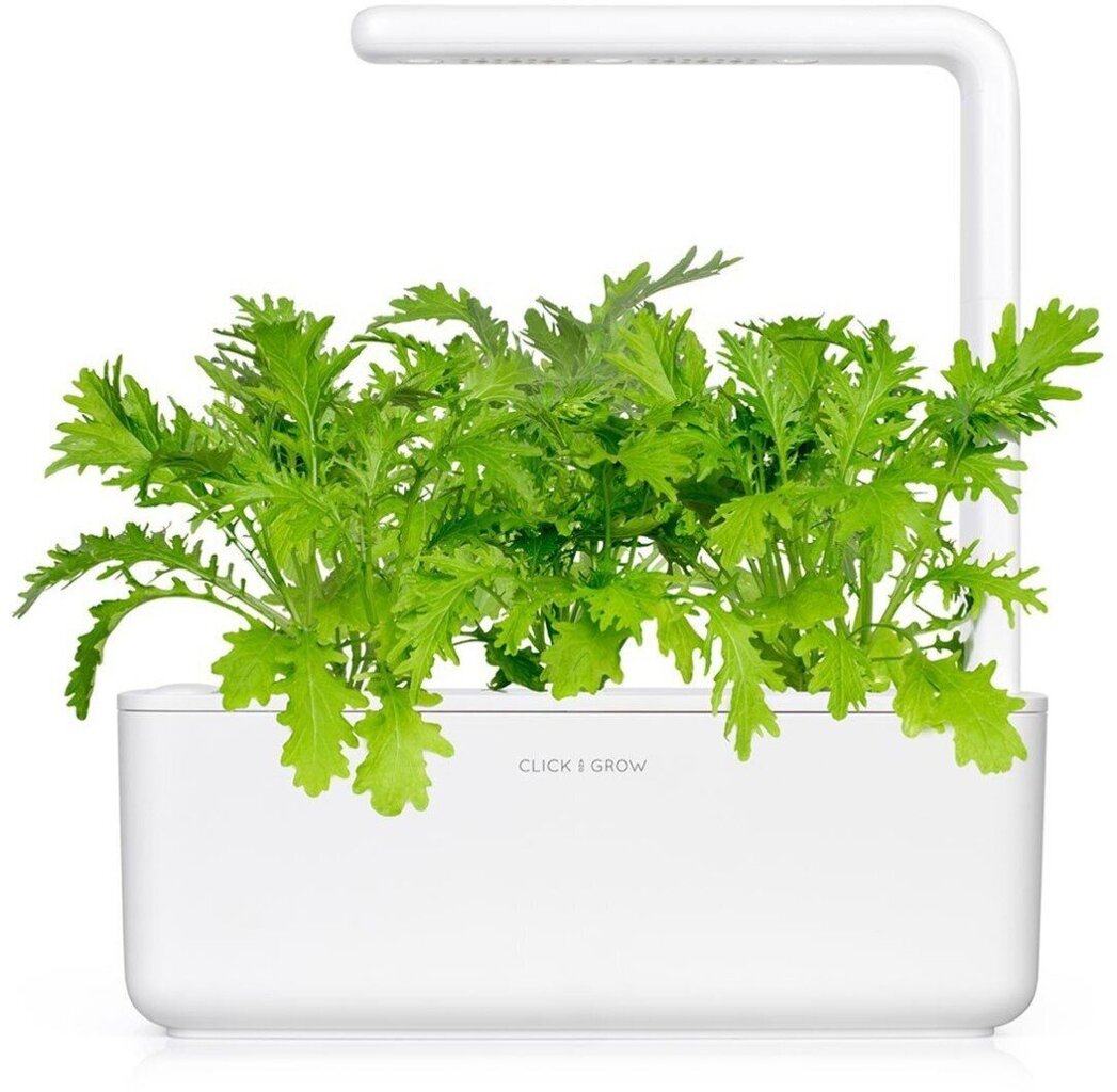 Click & Grow Smart Garden refill Lehtsinep 3tk hind ja info | Nutipotid ja taimelambid | hansapost.ee
