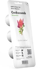 Click & Grow Smart Garden refill Очи́ток 3 шт цена и информация | Проращиватели, лампы для растений | hansapost.ee