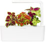 Click & Grow Smart Garden refill Kirinõges 3tk цена и информация | Nutipotid ja taimelambid | hansapost.ee
