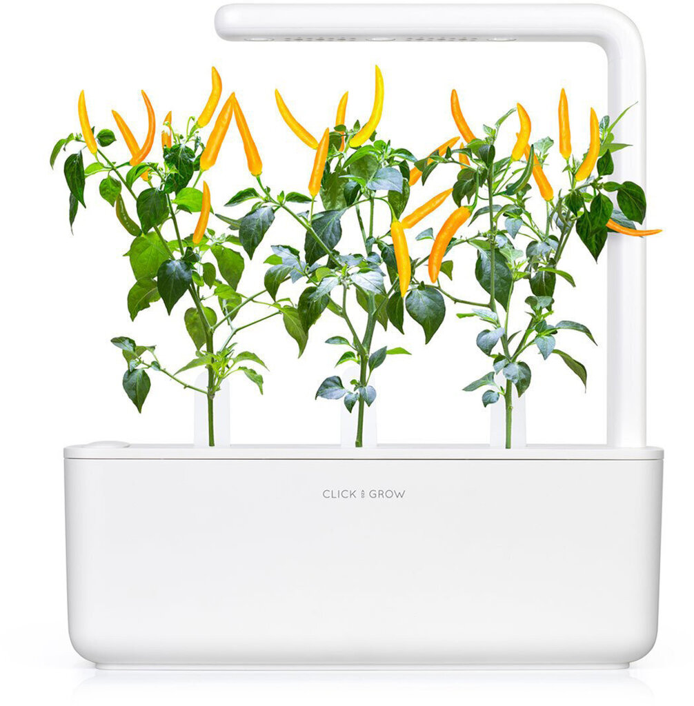 Click & Grow Smart Garden refill Kollane tšilli 3tk цена и информация | Nutipotid ja taimelambid | hansapost.ee