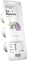 Click & Grow Smart Garden refill Sweet Alyssum 3pcs цена и информация | Проращиватели, лампы для растений | hansapost.ee