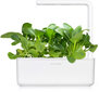 Click & Grow Smart Garden refill Pak Choi 3tk hind ja info | Nutipotid ja taimelambid | hansapost.ee